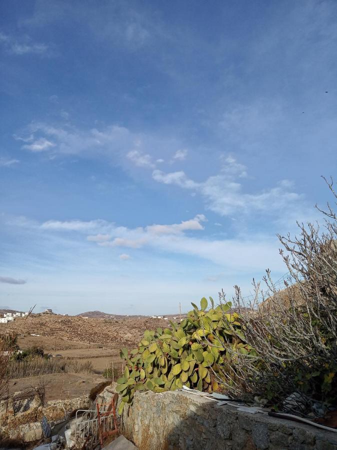 Pyrgi Artemis Place Mykonos Town Eksteriør billede